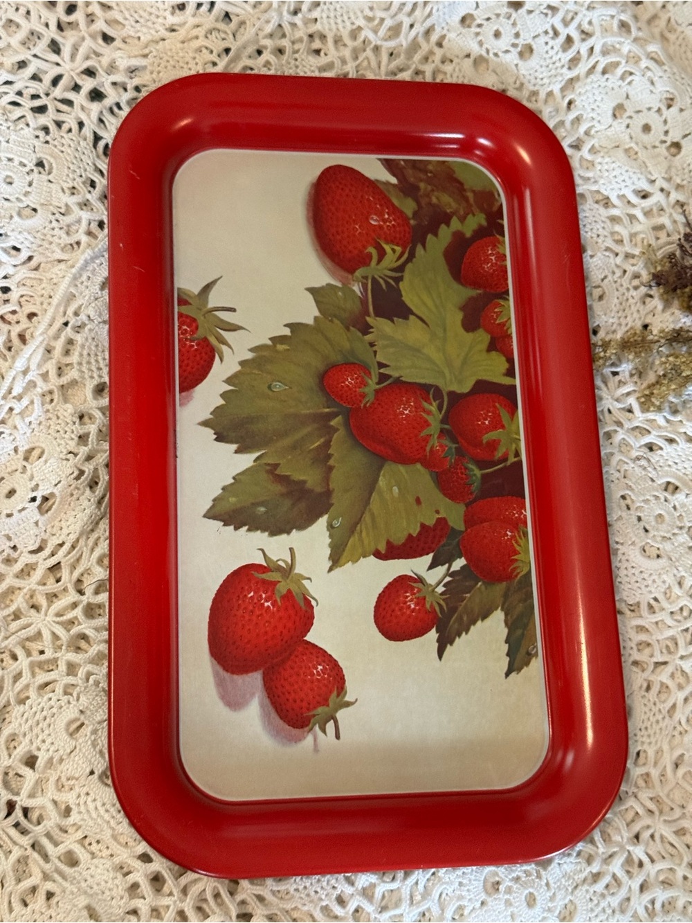 Vintage Red Strawberry Decorative Serving Tray - Home Kitchen